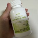 알파랩스