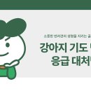 미유펫 동물병원 이미지