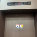 피자파는집 경산하양점 | [경산/식당] 하양맛집 "라라코스트 하양점"