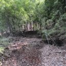 동산농장 이미지