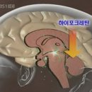 기면병,기면증 - 청소년들이 더욱더 유의해야할 기면병 이미지