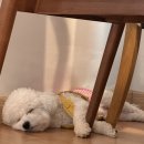 더(The)마실 이미지