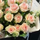 수서-103 이미지