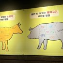 꿈의 한우농장 이미지