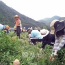 화암면사무소 이미지