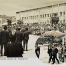 묵호초등학교 이미지