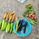 닛시농장 이미지