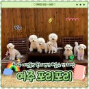 달인  숯  바베큐 | 여주 포리포리:) 애견 동반 180평 단독 독채 펜션