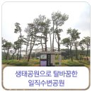 일직수변공원 이미지