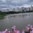 평택시 배다리저수지3 이미지