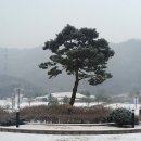12월20일 (일)포천 신북온천 온천여행 이미지