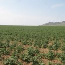 갈렙농장 이미지