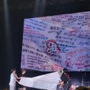 스타일Live | 노벨브라이트 내한 공연 후기!! Novelbright LIVE TOUR 2025 in SEOUL/잠실학생체육관