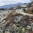 장천할인마트 이미지