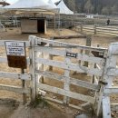 도움목장 | [경기] 주말에 아이랑 가볼만한곳 | 가평양떼목장 먹이체험 썰매타기