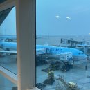 677 | [푸켓여행] 대한항공 푸켓 KE677/KE678 왕복 탑승후기