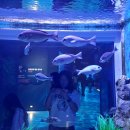 생태숲학습관 1층 | 시흥 실내 아이와 가볼만한 곳 해양생태과학관