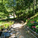 진양호공원(가족쉼터) 이미지