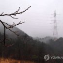 전국 적신 빗방울에 봄기운 촉촉…관광지 발걸음 '한산' 이미지