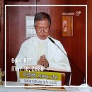 이관배 스테파노신부 미사집전 이미지