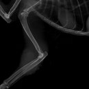 효창동물병원 이미지