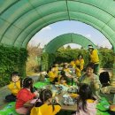 금천농장 이미지