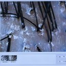 연신내역4번출구앞 연신우리약국 | 은평구 탈모관리 닥터모락에서 두피관리 찐 후기!!!