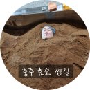 효소테라피 이미지