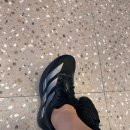 담양황금횟집 | 여름이니까 더운 7월 일상