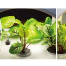 자연속에 고기세상 이미지