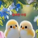 세모 술자리 구호 이미지