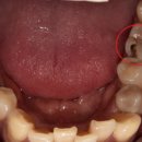 닥터굿플란트치과의원 이미지