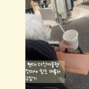 미샤현대스페이스1아울렛