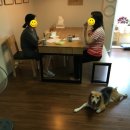 몽메이트