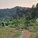 하엘정원 야자매트 깔기 이미지