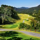 T골프존 이미지