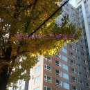 아네스트공인중개사사무소 이미지