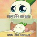 윤씨떡방 | 여유로웠던 뒷북 5월부터 6월🌿☁️