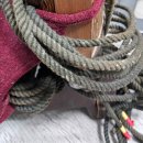 선비의 악기, 거문고 이미지