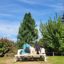 이레약국 이미지