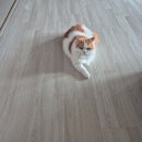 최내과의원 이미지