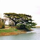 종로-종로-종로-종-314 이미지