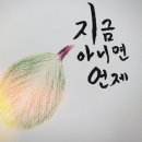 우리해동검도 이미지