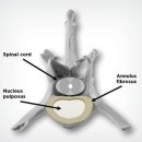 비타민동물메디컬센터 이미지