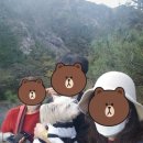 올치동물병원 네이버블로그