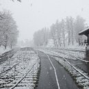 대왕농장1 이미지