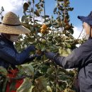 금오농협 이미지