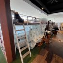 돋보이 개 이미지