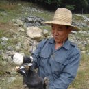 한림농장 이미지