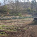 보은군농업기술센터 농기계임대사업소 이미지